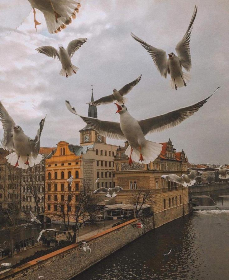 Lena Apartment Prága Kültér fotó